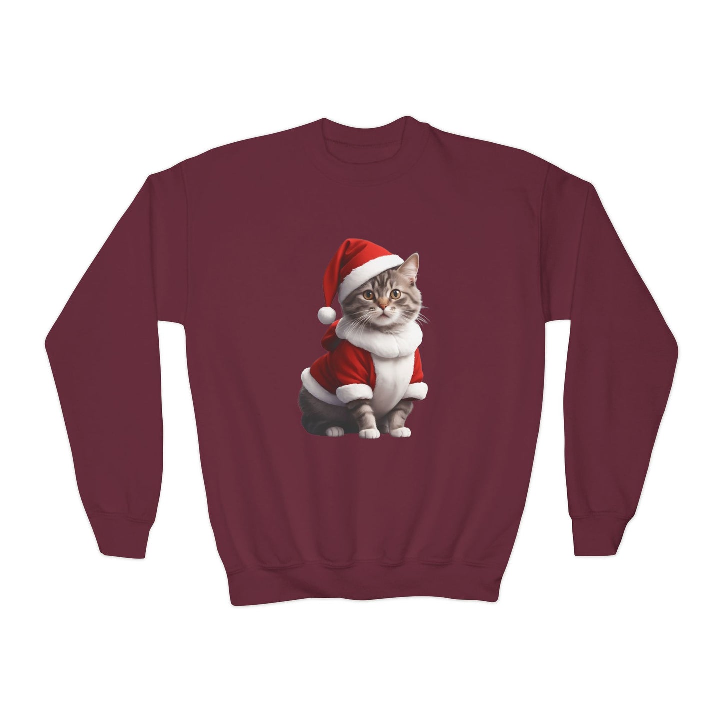 CAT Santa - Youth Sweatshirt