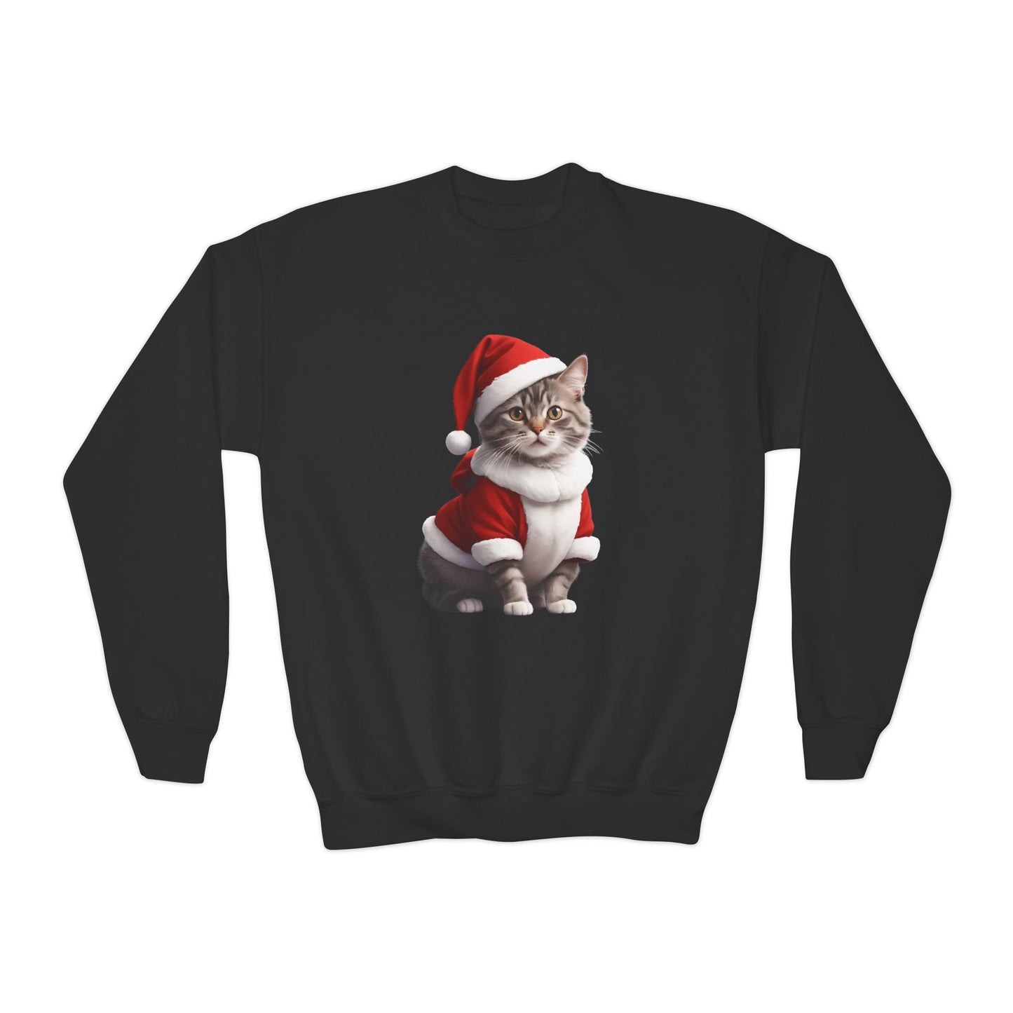 CAT Santa - Youth Sweatshirt