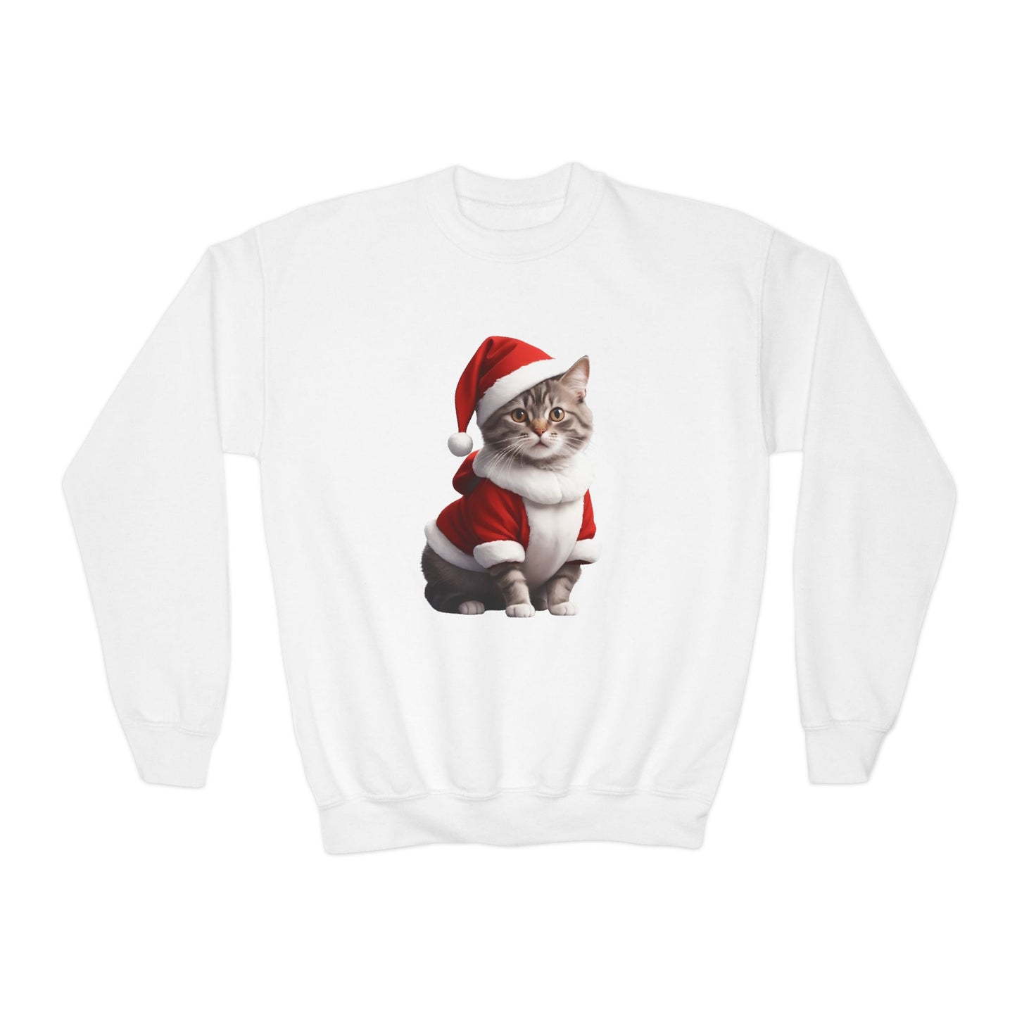 CAT Santa - Youth Sweatshirt
